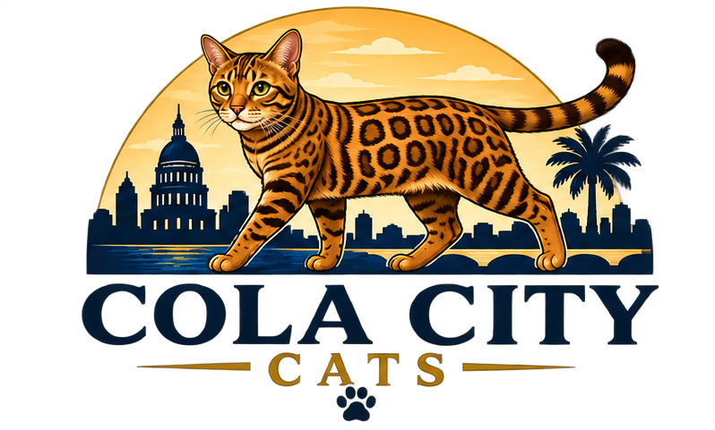 Cola City Cats logo